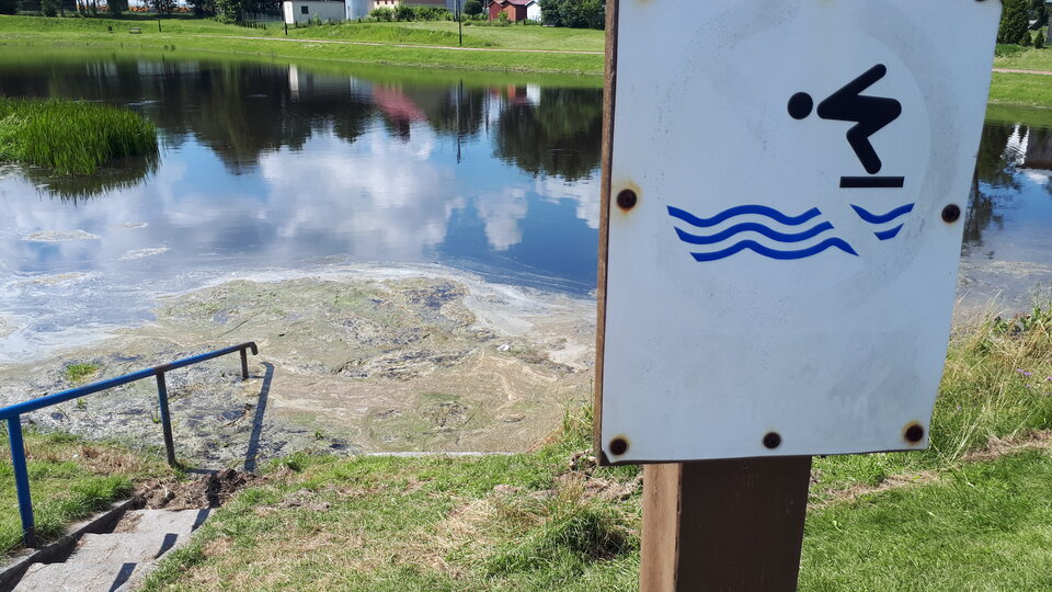 20200714_141310.jpg - Tabas0