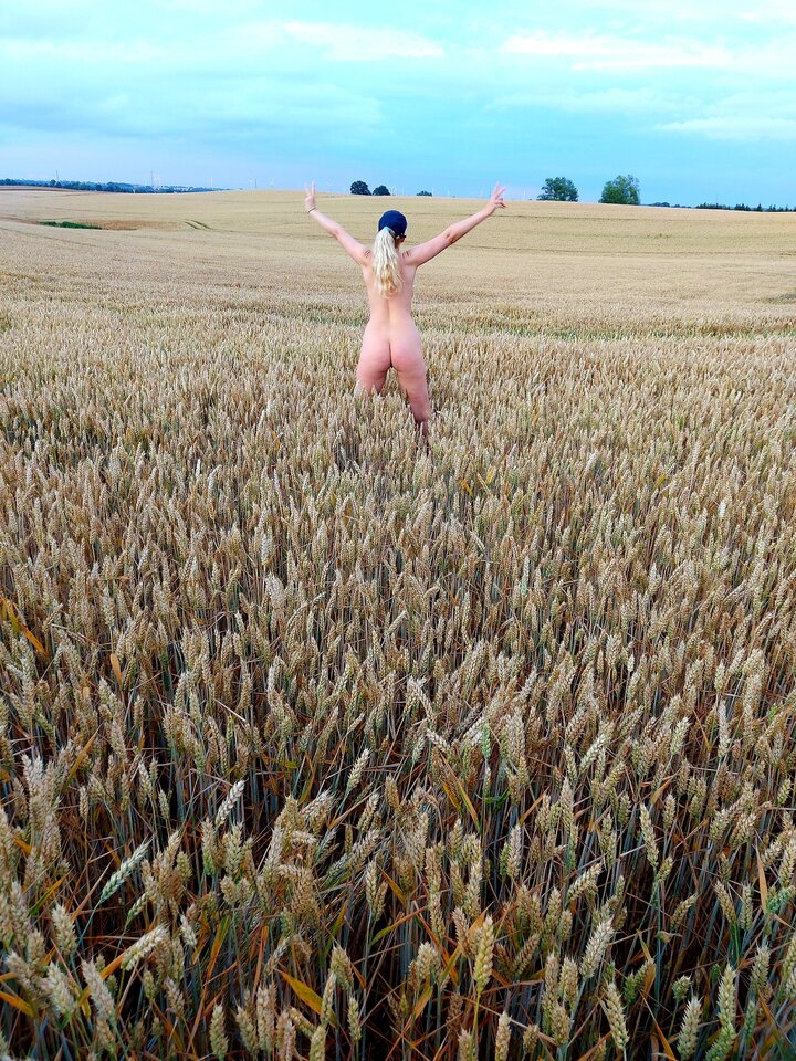 Już żniwa :) - hot20hot