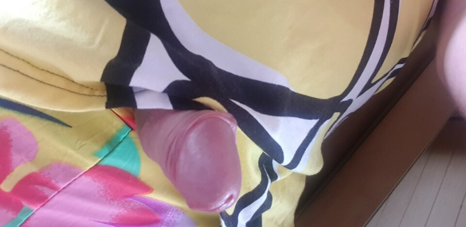 20200717_141105.jpg - paulinatrans1