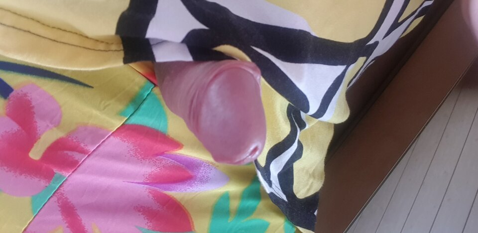 20200717_141107.jpg - paulinatrans1