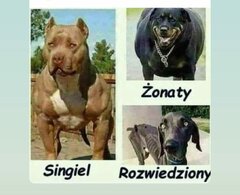 Odrobina humoru 😂 ciekawe ilu takich panów tutaj jest😂