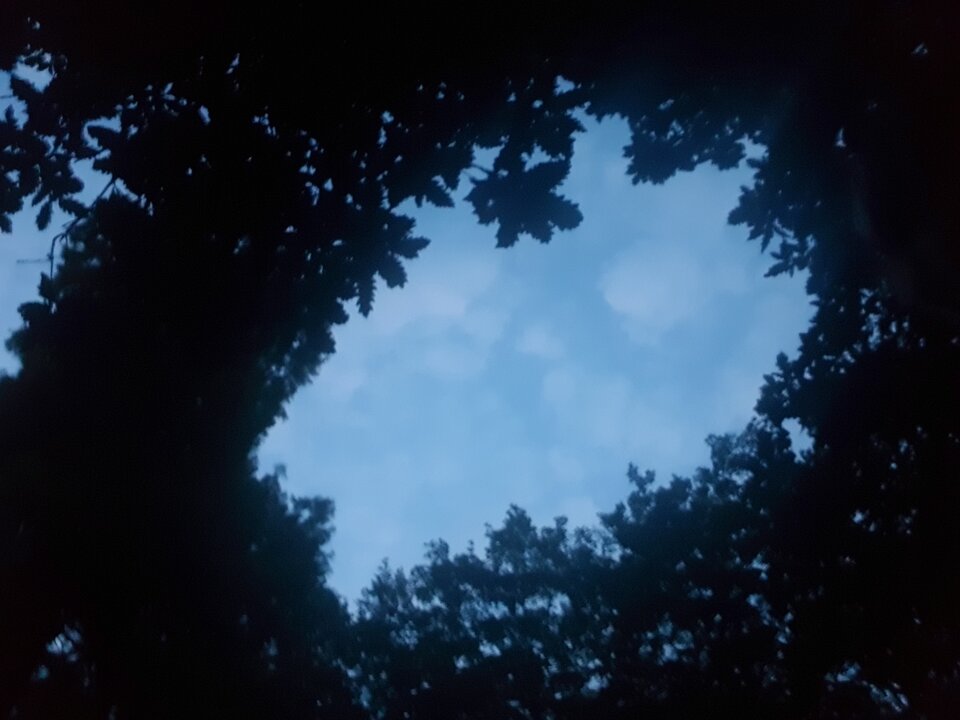 15950171842081677595036462781667.jpg - Ogiglok