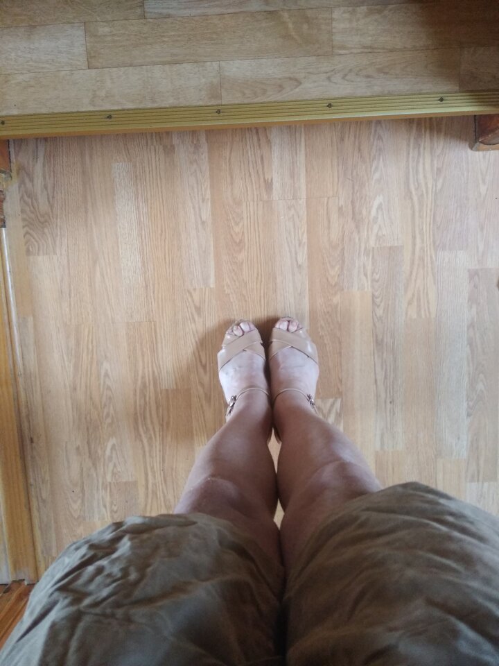 15950699098726391703460614897643.jpg - Palciusia