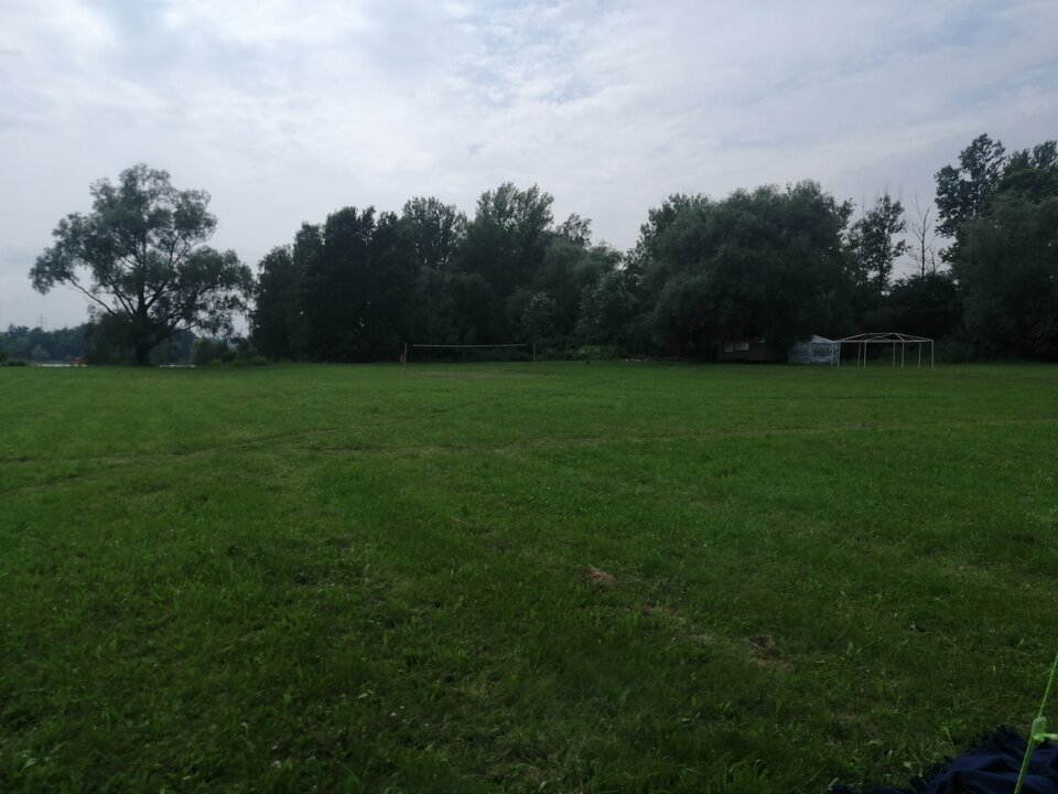 Antasovice kemping natur. - Samica98