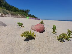 20200718_110953.jpg