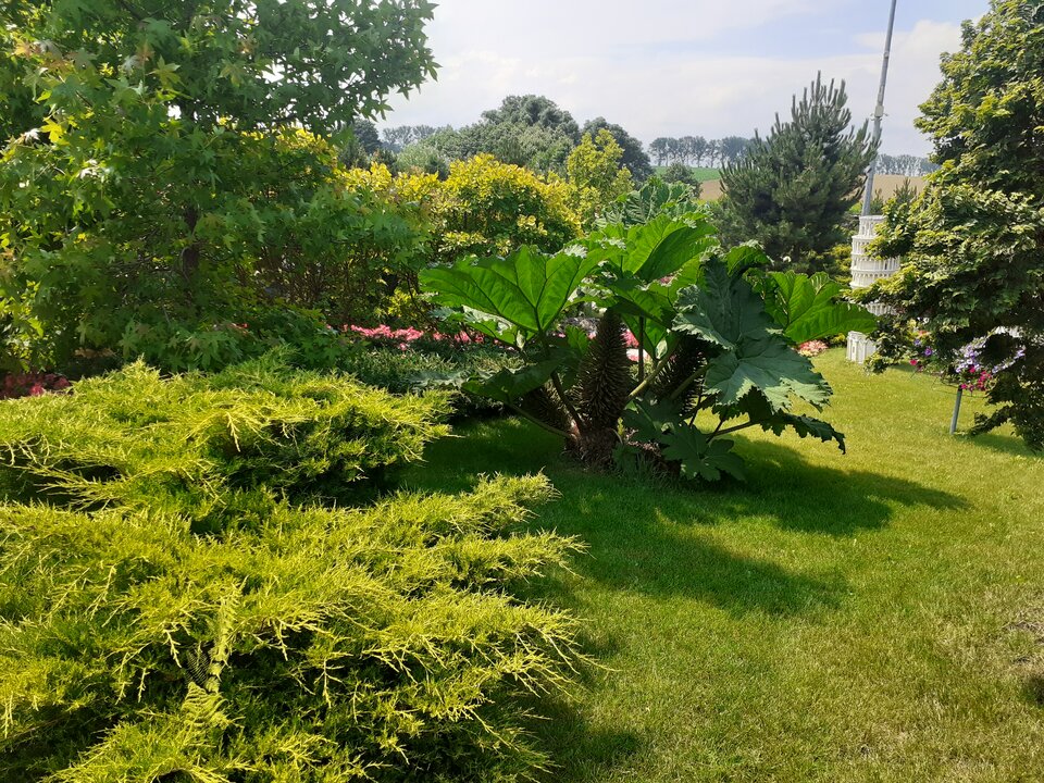 20200718_121608.jpg - Przemodkl79