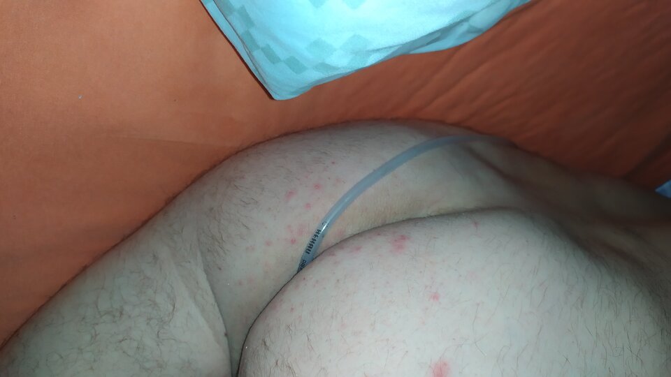 IMG_20200718_224029.jpg - dyskrecjazapewniona