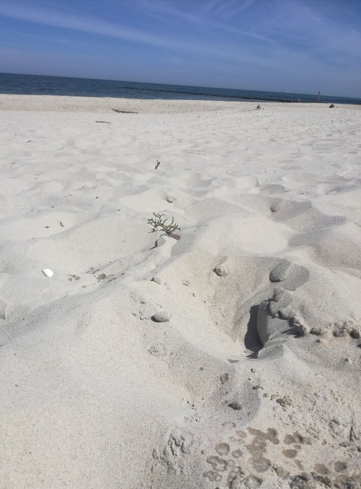 IMG_20200719_134844.jpg - Onn_Singiel