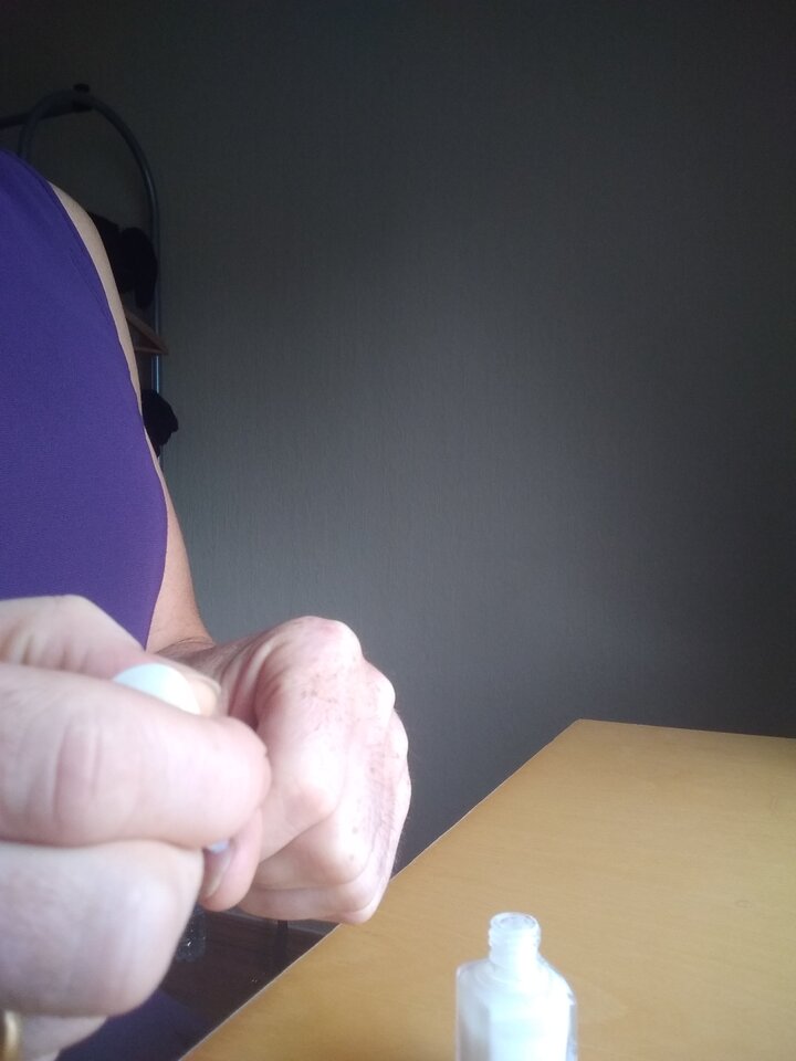 15951622101372150808583809255389.jpg - Palciusia