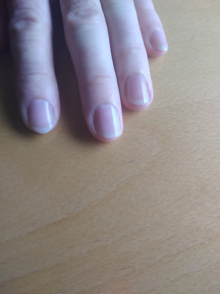 15951625051395055559036802462411.jpg - Palciusia