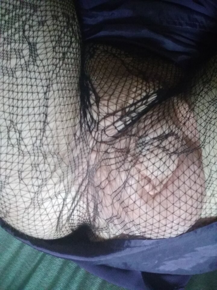 15951650635608659536795601373066.jpg - Palciusia