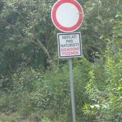 IMG_20200719_155410_1.jpg