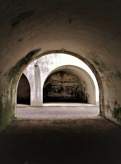 IMG_20200717_170110 (4).jpg