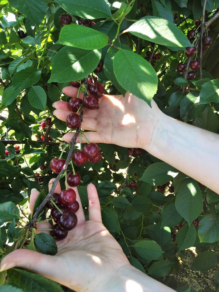 received_846647109199612.jpeg - greg375