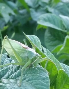 2020-07-20 13.24.02.jpg