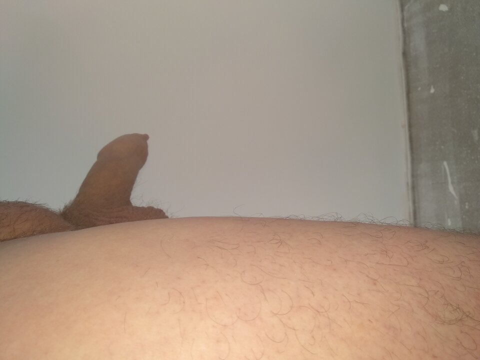 15952557626838888950155022284921.jpg - dupekalex