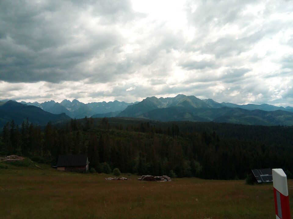 IMG_20200719_143522.jpg - kazik248