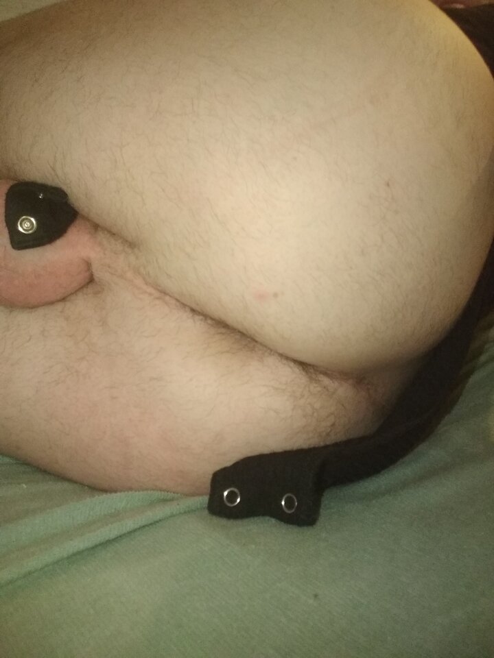 15952732282367623507831528772933.jpg - Palciusia