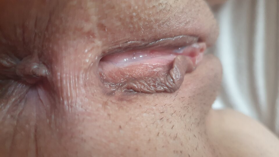 20200721_070841.jpg - westie