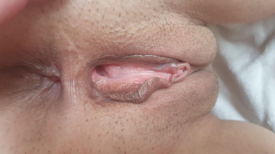 20200721_070847.jpg - westie