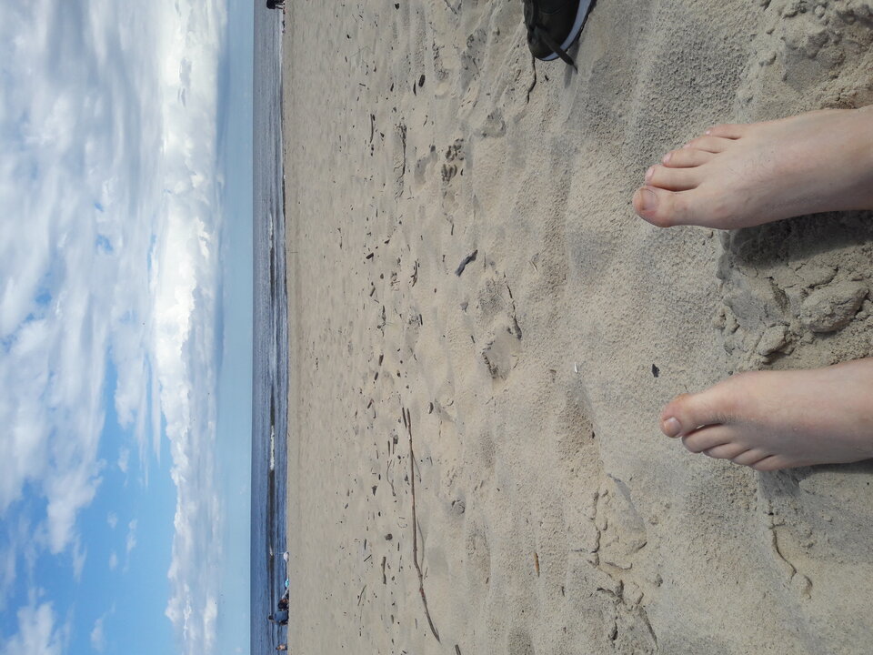 15953271238111817507230.jpg - kris10000