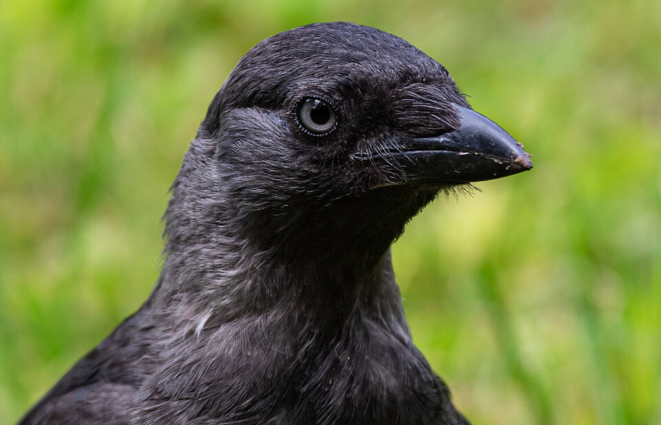 Oko na Maroko ;) - mystic