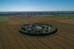 "Wyspa" JC&R w polach pod Gdańskiem :)))