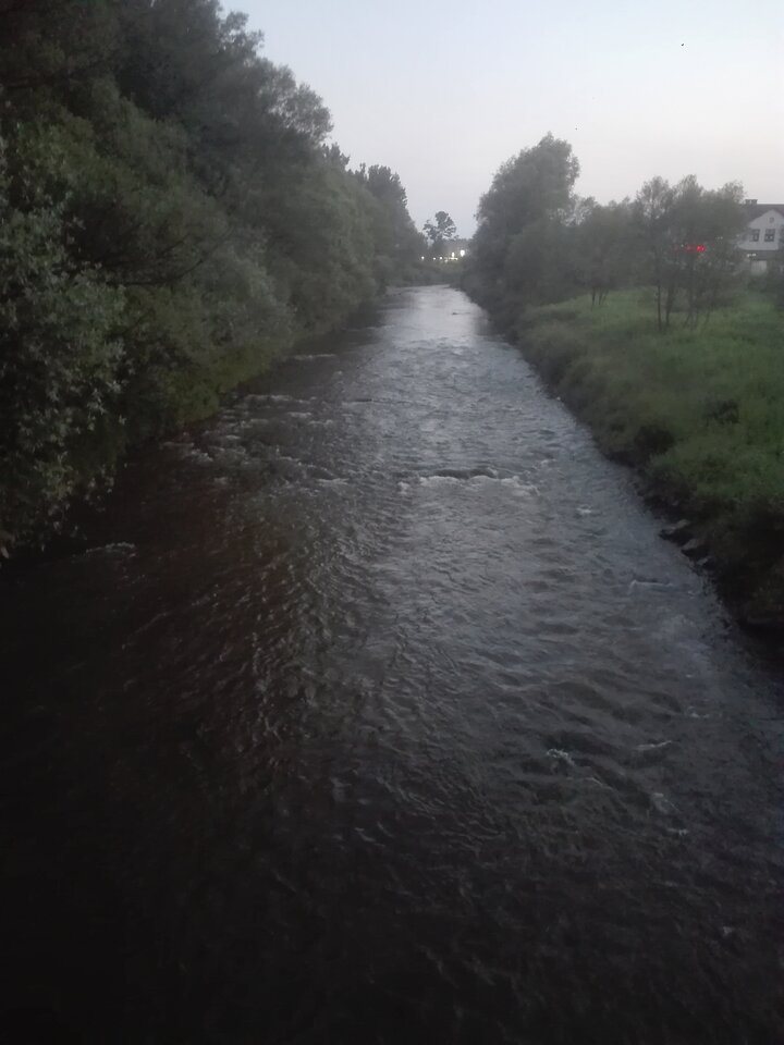 1595357411772-238298732.jpg - mic87