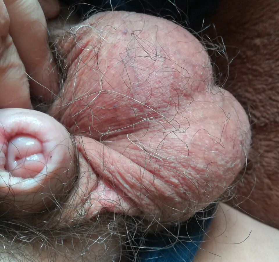 IMG_20200721_121925.jpg - jas1armatka