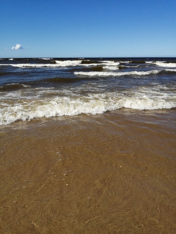 IMG_20200722_151722.jpg - Frelka_ze_wsi