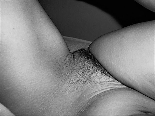 oli (3).JPG - Filo25