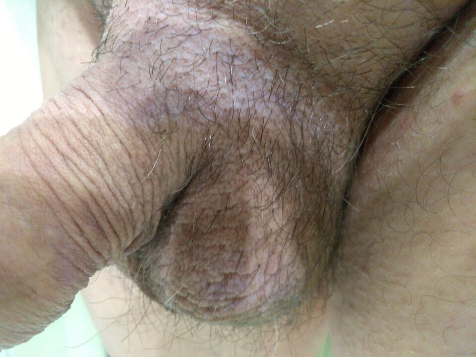 15954775420403660696236796812169.jpg - matuzalem000