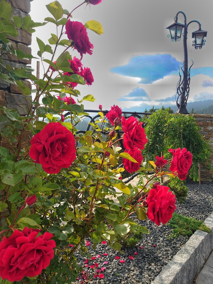 Miłego dnia... - BOBUS2009