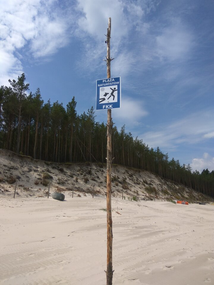 IMG_20200704_111959.jpg - PARAS8777