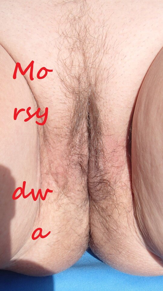 Nad morzem. - Morsy_dwa