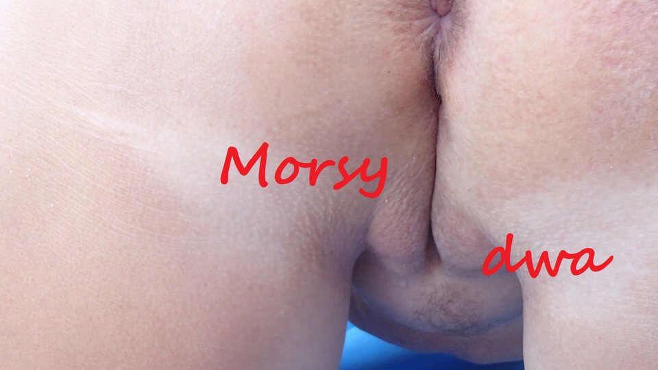 Nad morzem. - Morsy_dwa