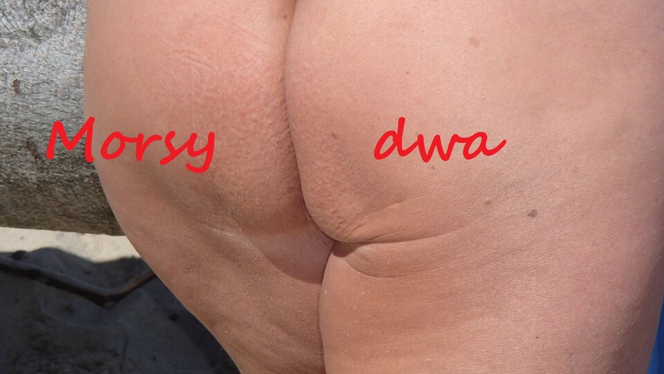 Nad morzem. - Morsy_dwa