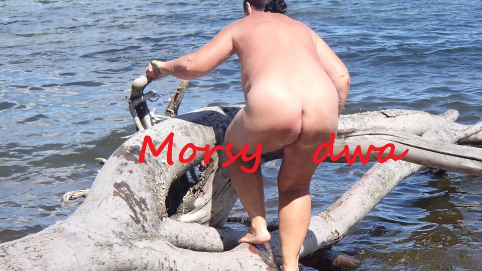 Nad morzem. - Morsy_dwa