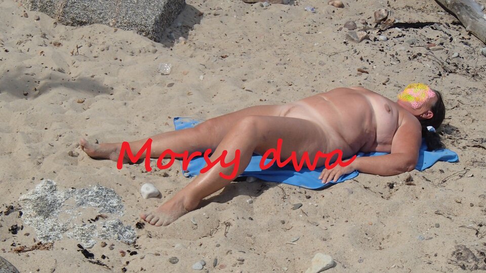 W słoneczku. - Morsy_dwa