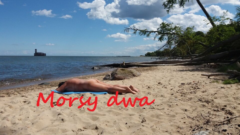 W słoneczku. - Morsy_dwa