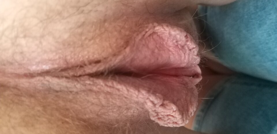 20200724_125724.jpg - Kaszmir2906