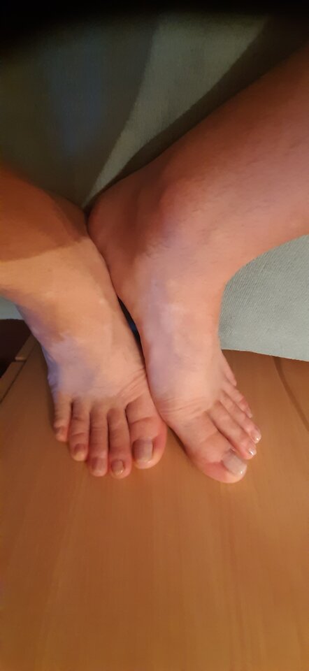 15956214793791236854944844195807.jpg - Palciusia