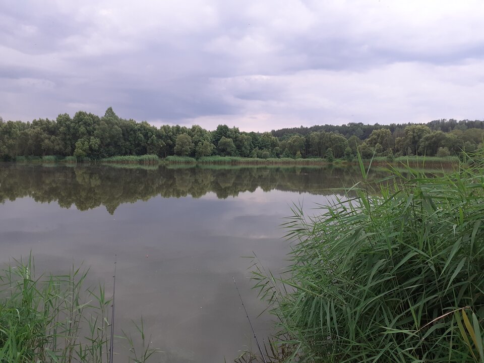 Miłego dnia  - Przemodkl79