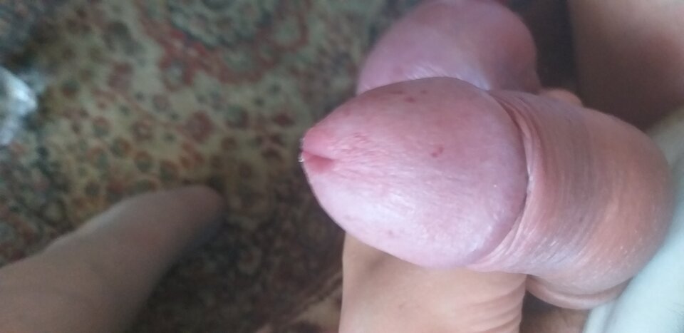 20200725_153729.jpg - kaktus9