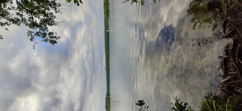 20200724_185346.jpg - tomitt