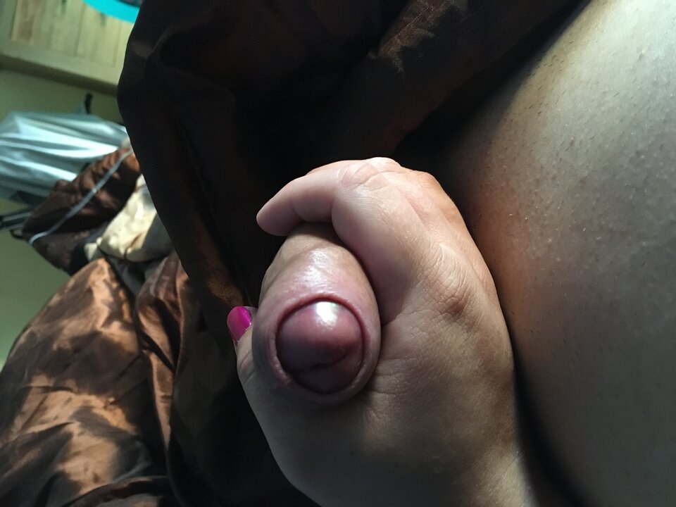 image.jpg - hodorkowie2