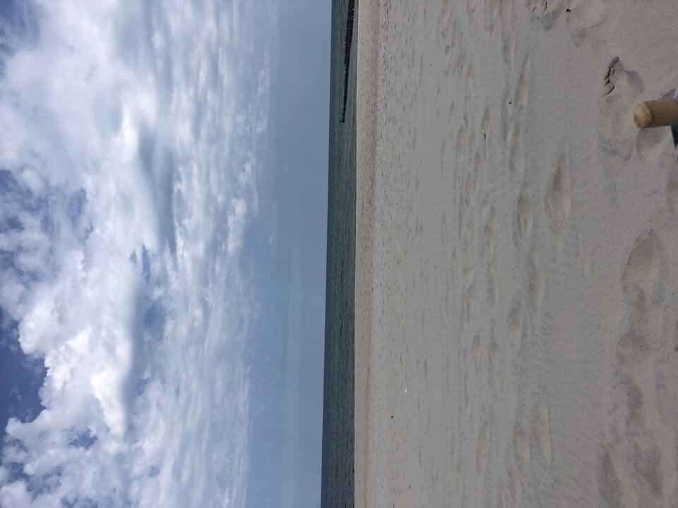 D1B6E7F2-1885-42D9-93B6-54450BB74E62.jpeg - Tequila1