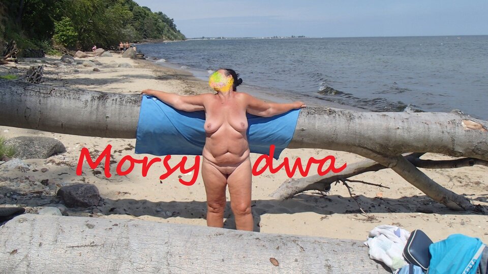 Nad morzem. - Morsy_dwa