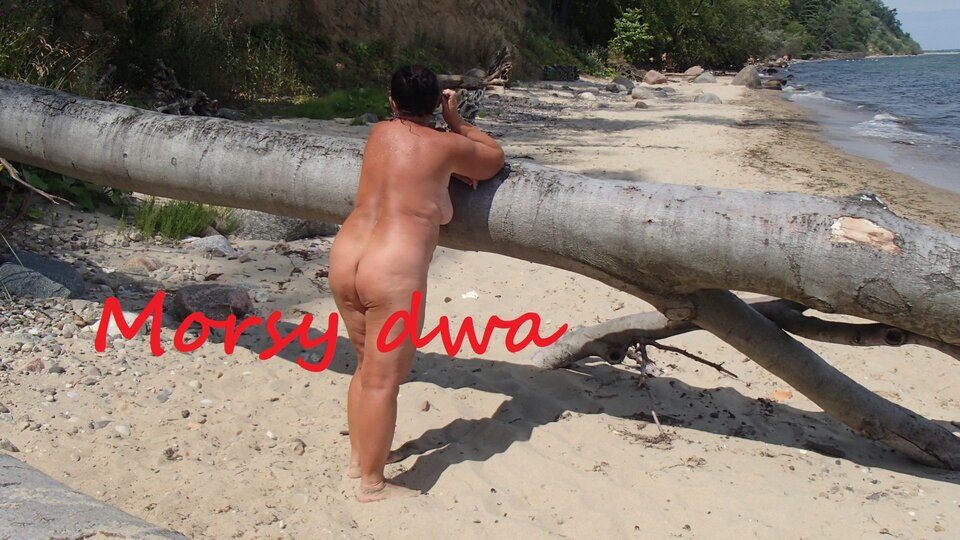 Nad morzem. - Morsy_dwa