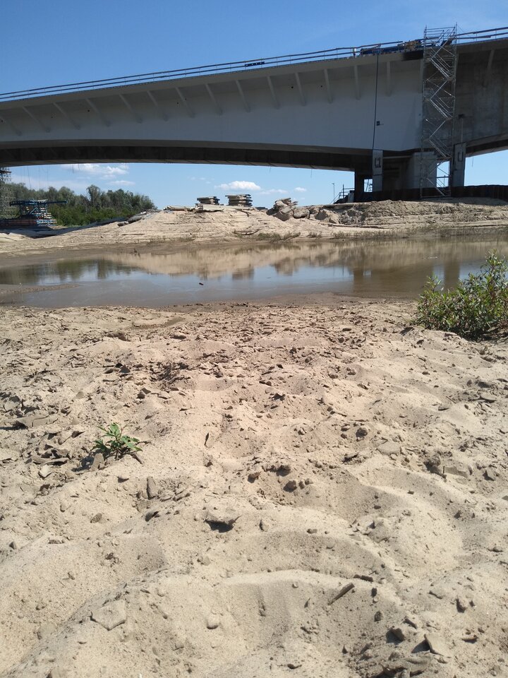 1595766721170876705523434909292.jpg - wawamybi